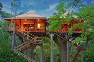 Read more about the article 6 Best Tree House in Wayanad