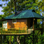 Top 6 Must-Visit Tree House in Munnar