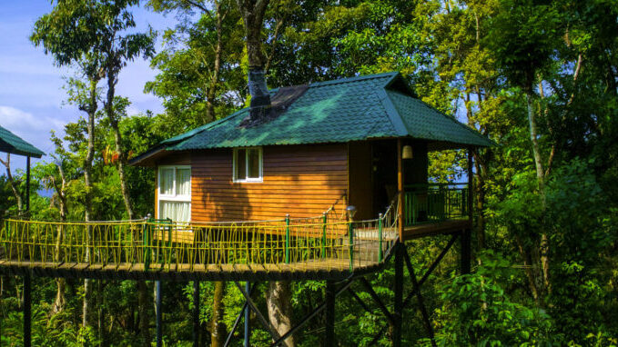 You are currently viewing Top 6 Must-Visit Tree House in Munnar