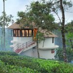 8 Incredible Tree House in Thekkady