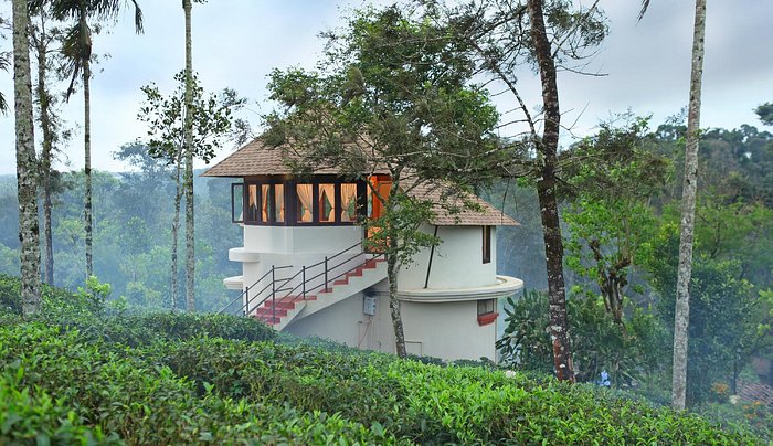 You are currently viewing 8 Incredible Tree House in Thekkady