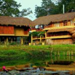 3 Best Places to Stay in Assam for Nature Lovers