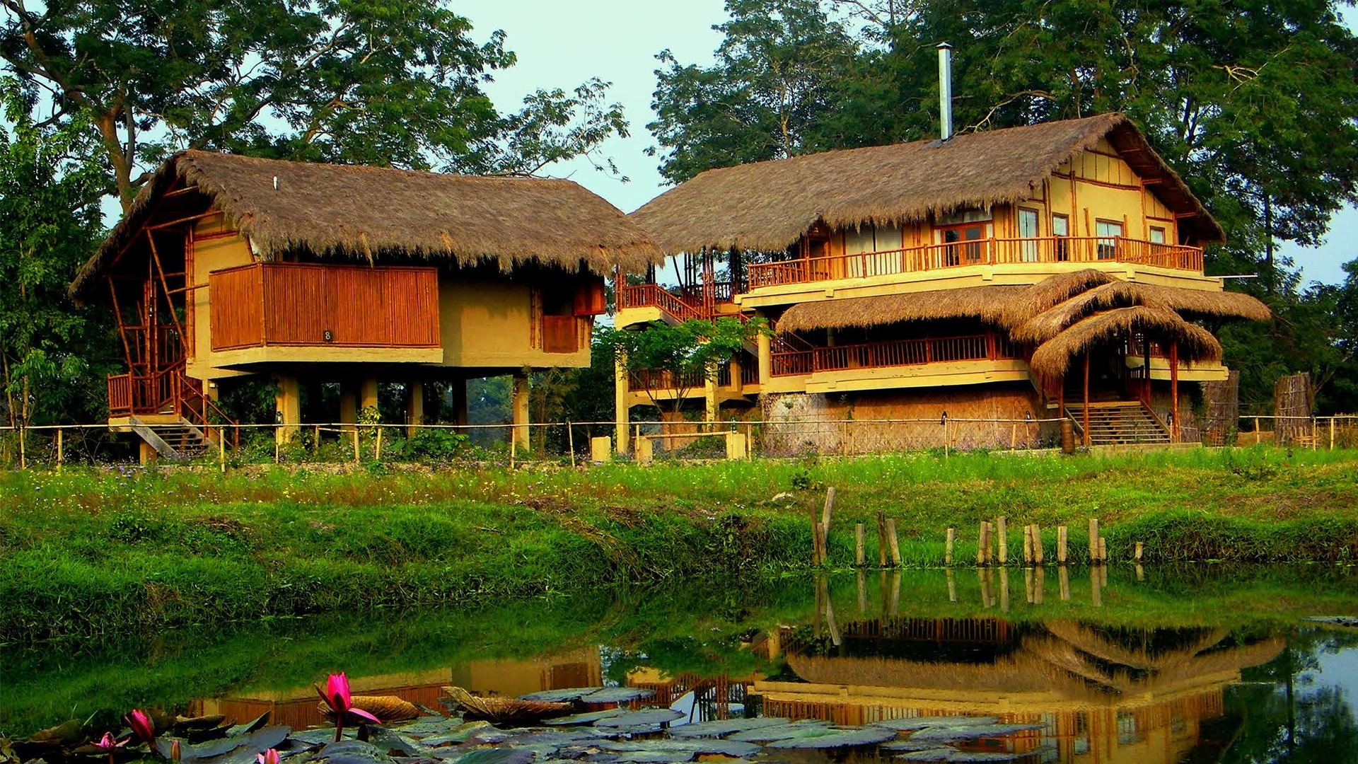 Read more about the article 3 Best Places to Stay in Assam for Nature Lovers