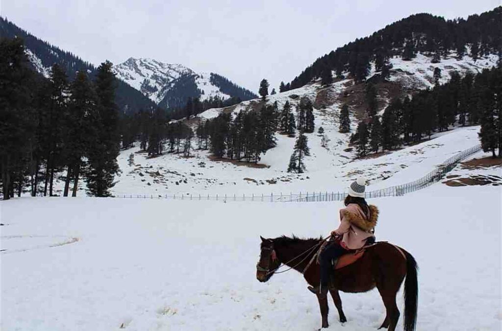 Horse riding in Pahalgam