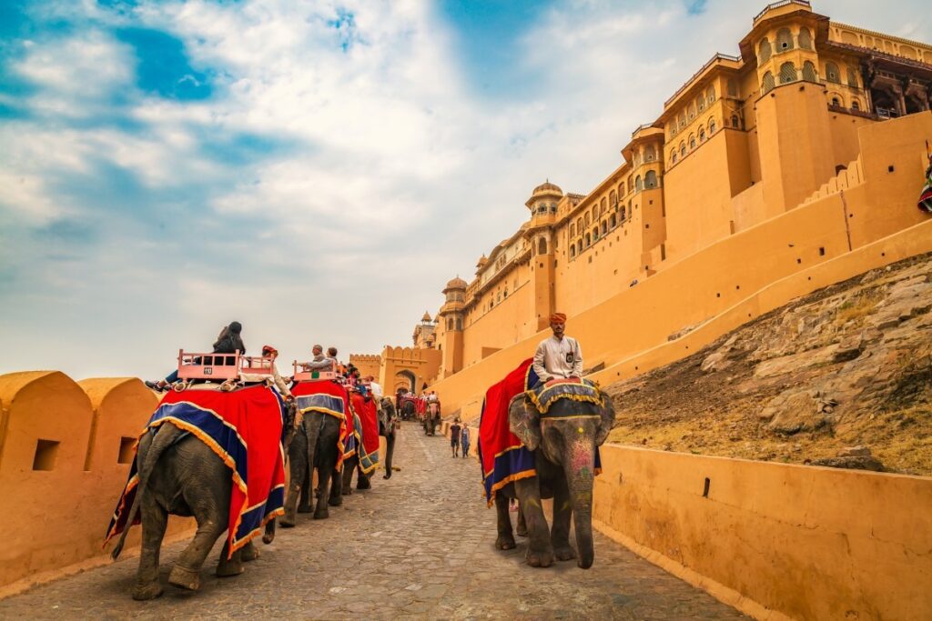 Elephant Ride Jaipur